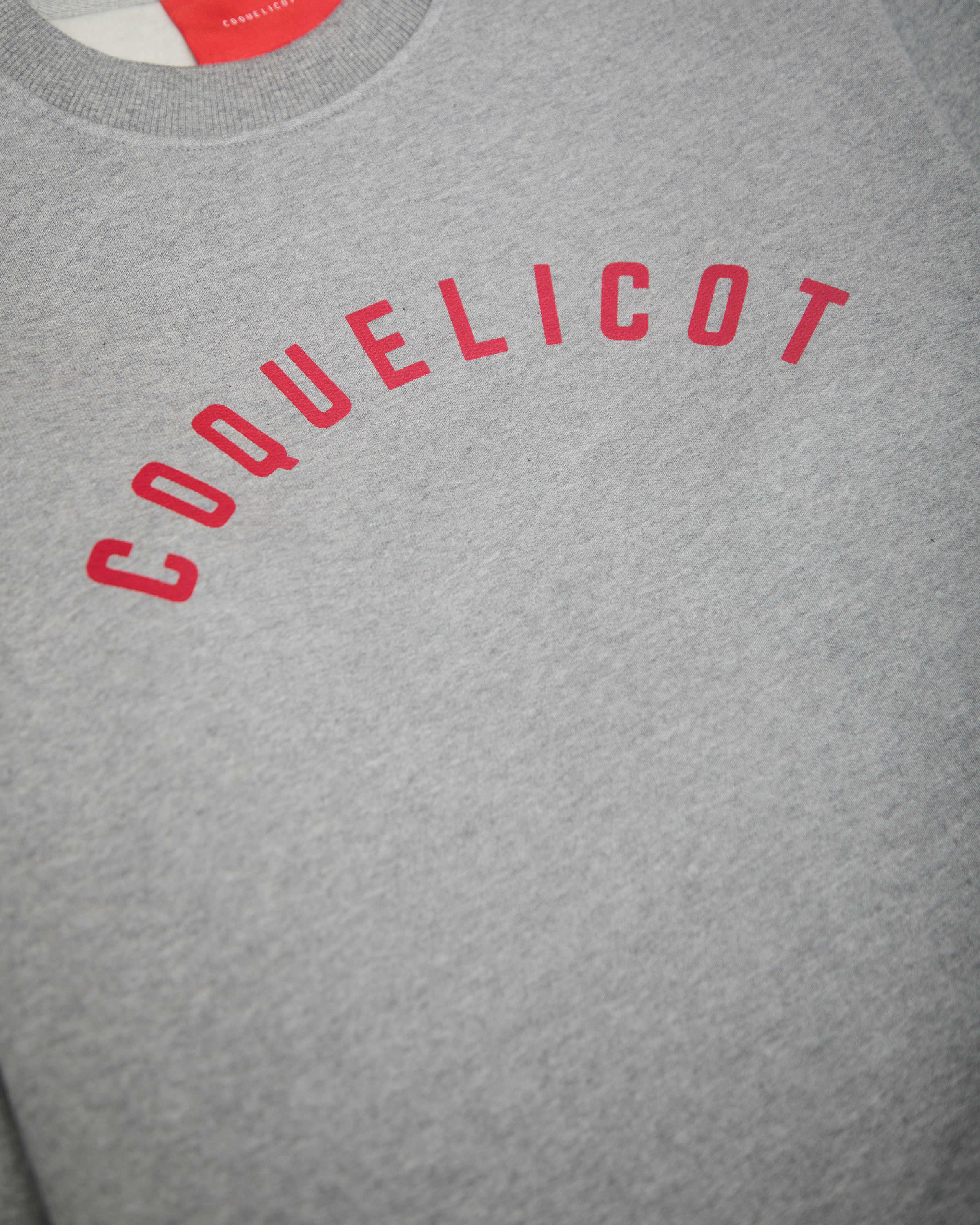 PRINT SWEAT gris