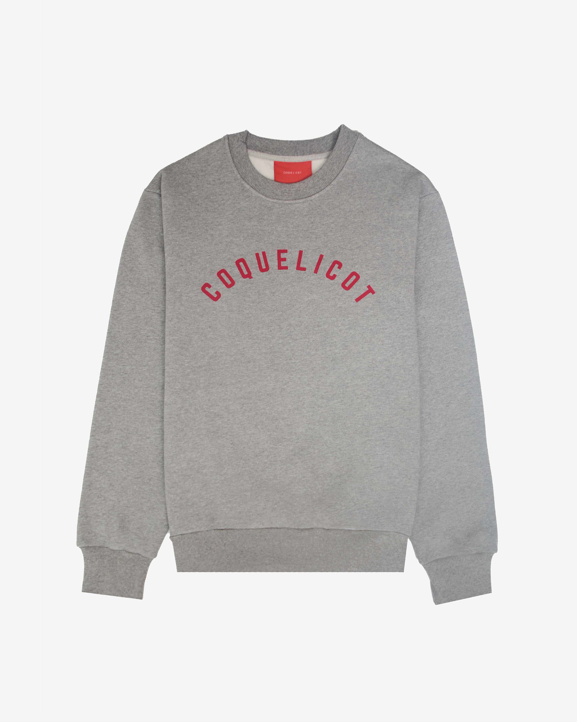 PRINT SWEAT gris