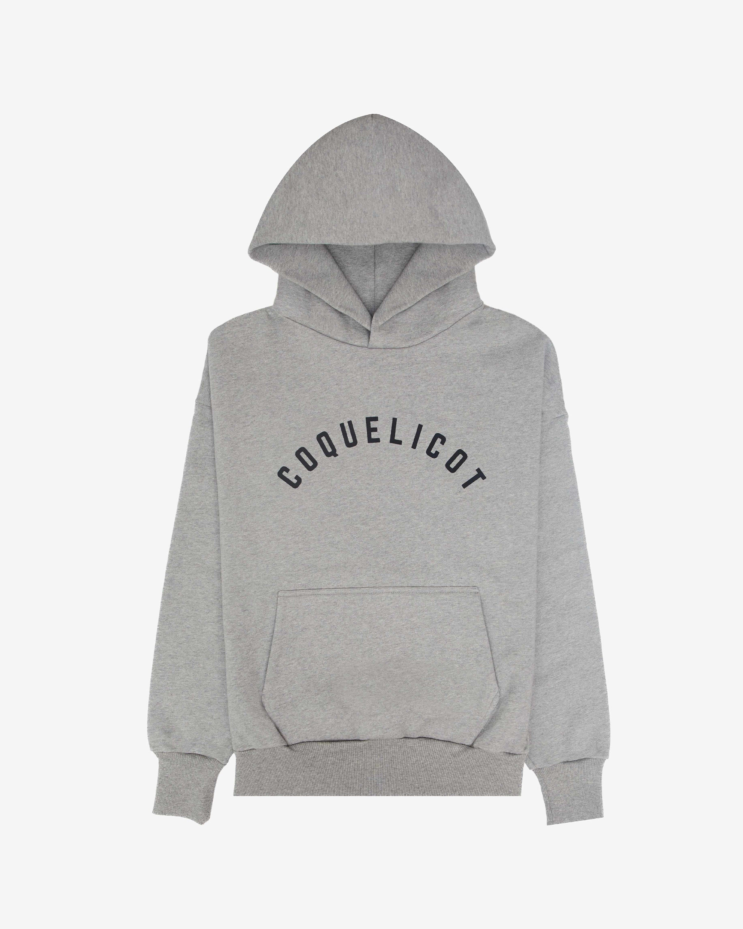 PRINT HOODIE gris